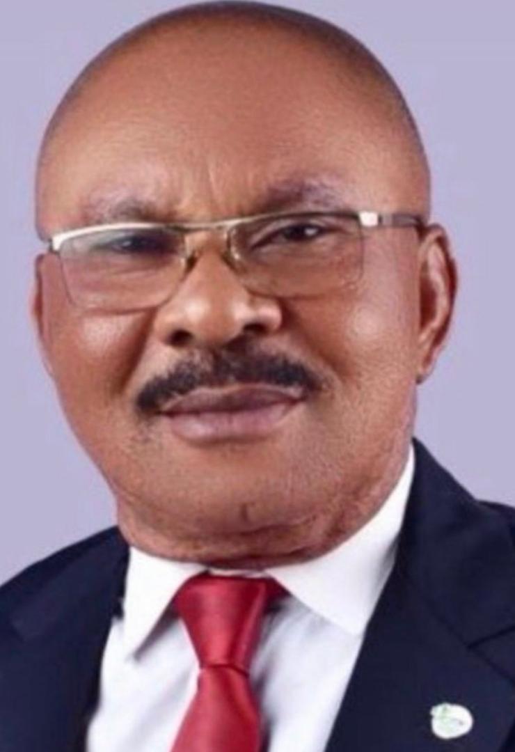 Photograph of Dr Francis Uzoma Ubani